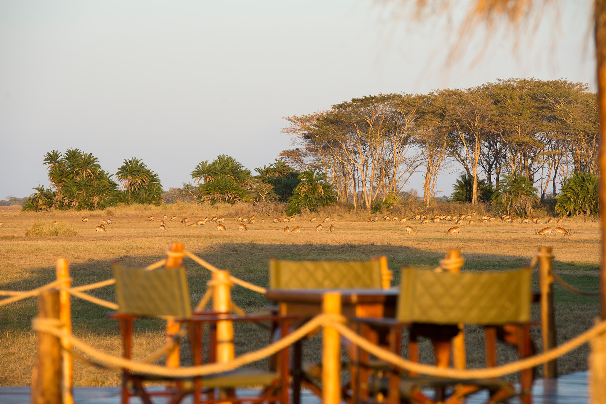 Deck at Busanga Plains Camp