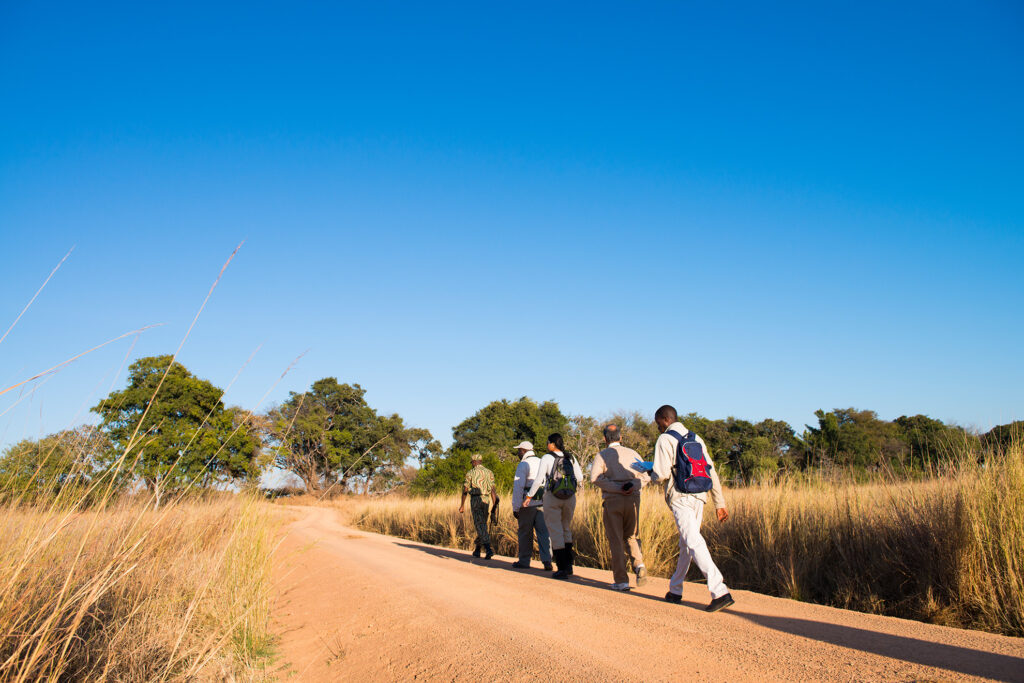 Walking safari at Mukambi