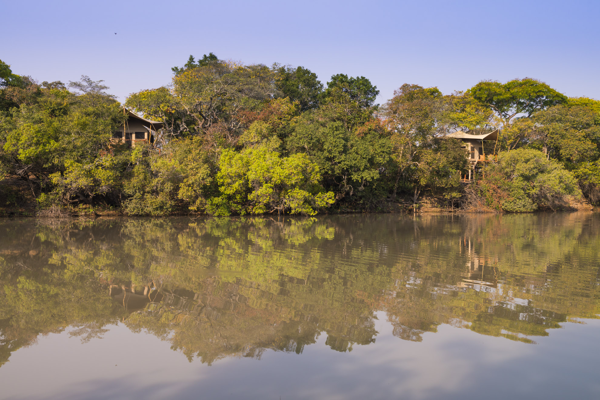 Fig Tree Camp by Mukambi Safaris
