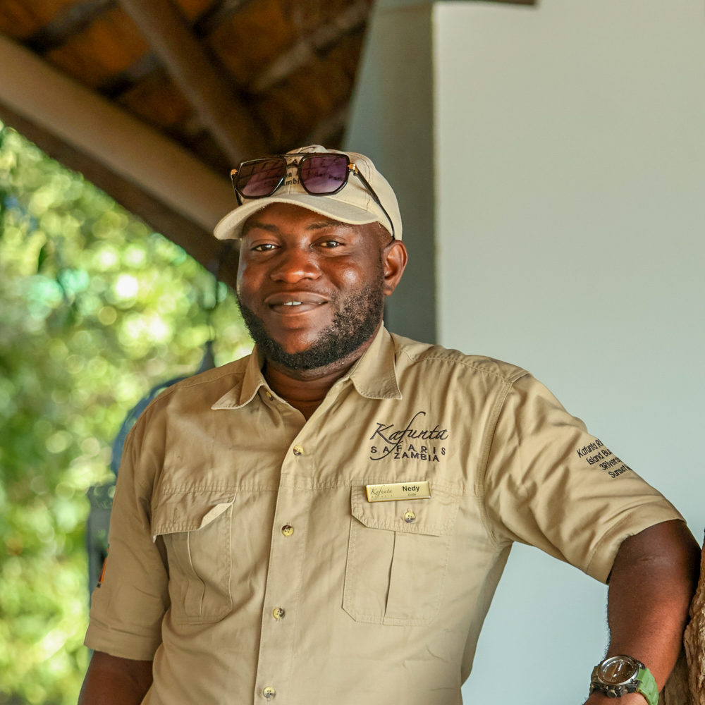 Safari guide Nedy