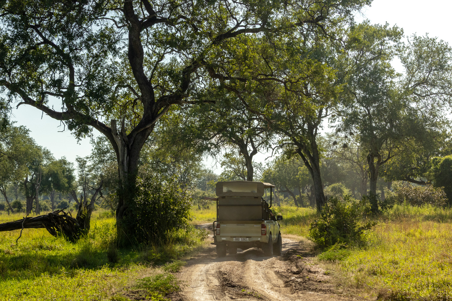A safari vehicle in the green season